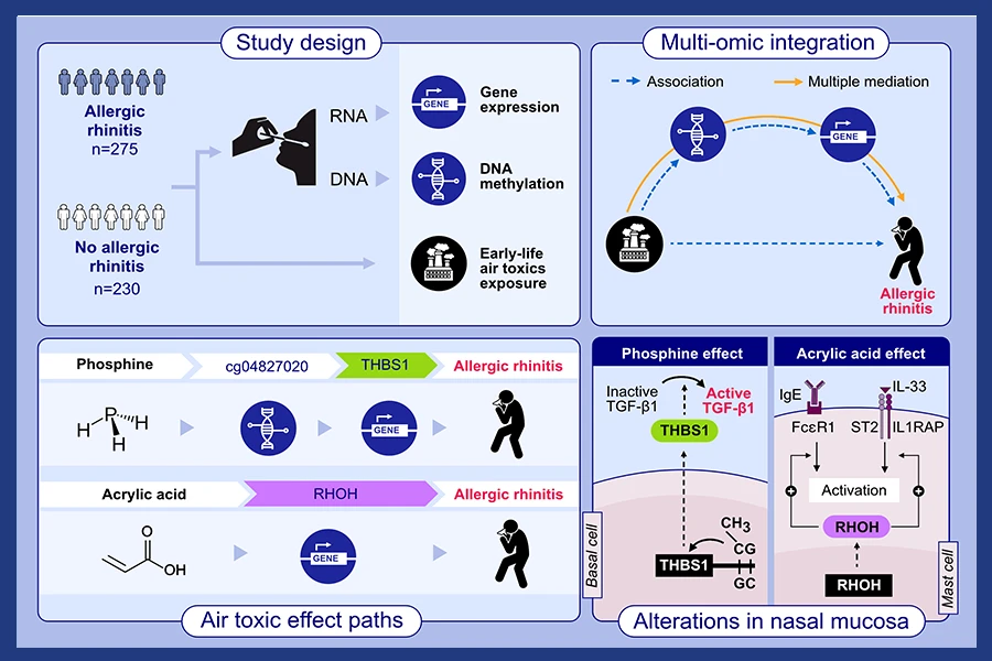 Treg induced allergen specific- and cross-tolerance