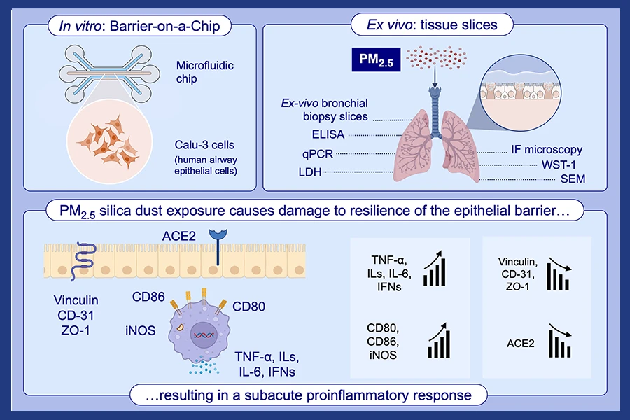 The impact of allergic inflammation in dyslipidemia