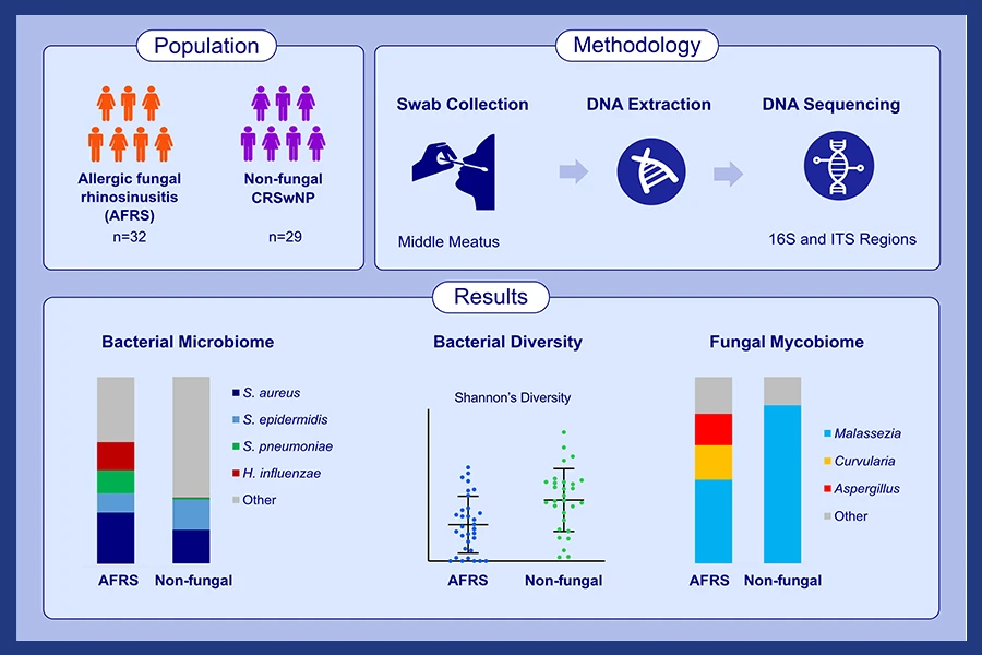 Treg induced allergen specific- and cross-tolerance