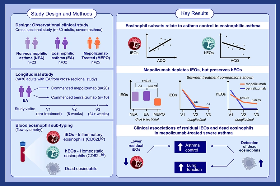 Treg induced allergen specific- and cross-tolerance