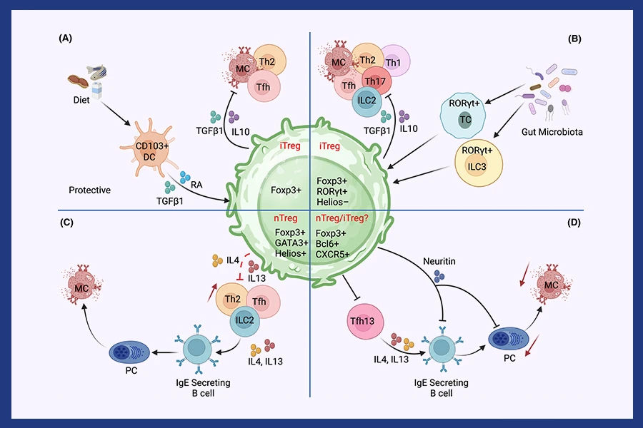 epigenetic basis of asthma