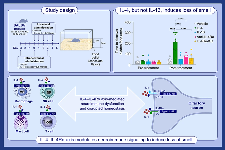 epigenetic basis of asthma