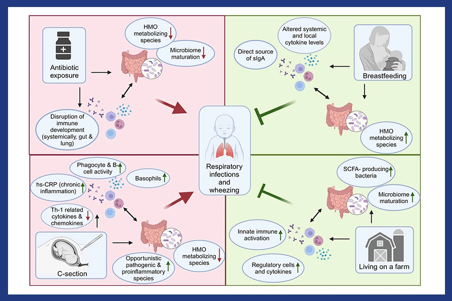 atopic dermatitis