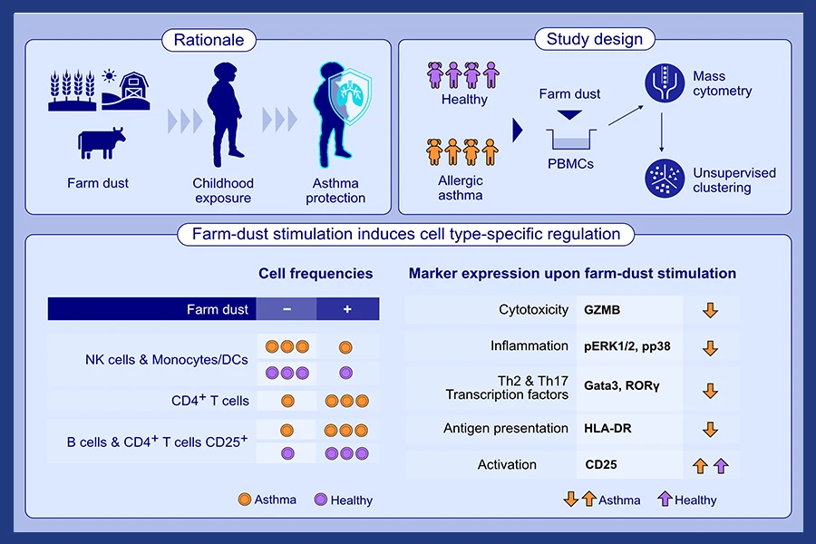 Treg induced allergen specific- and cross-tolerance