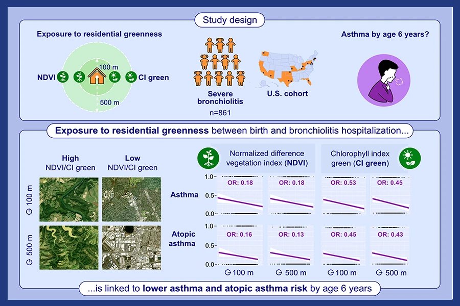 Treg induced allergen specific- and cross-tolerance