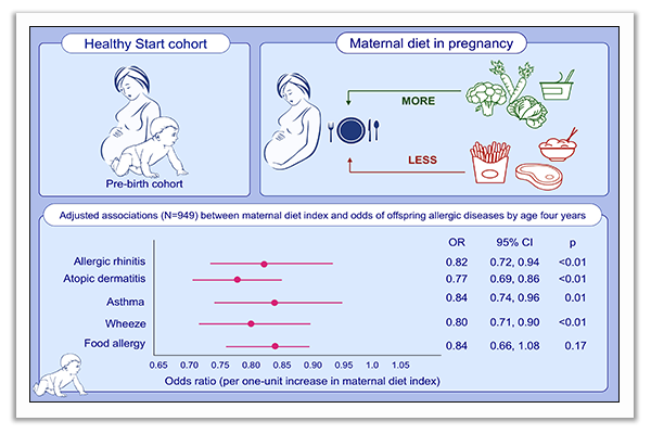 maternal diet index in pregnancy