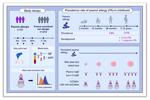 peanut allergy in children