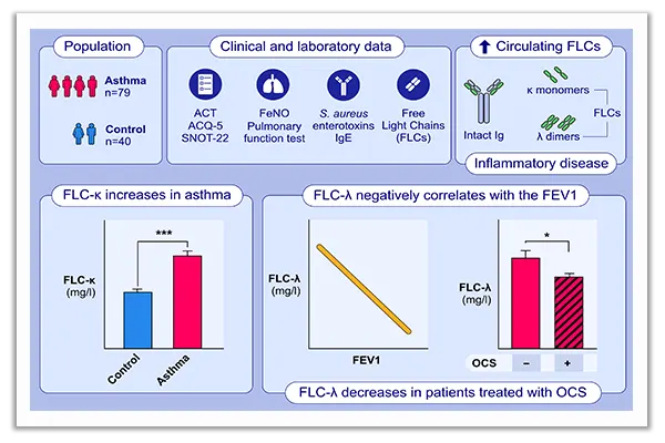 Immunoglobulin free light chains in severe asthma patient