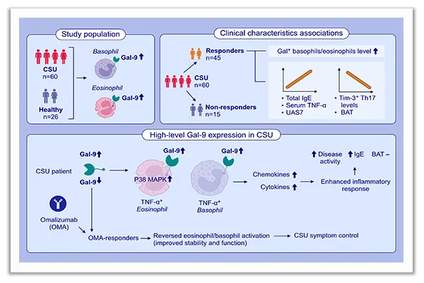 predictive factors in chronic spontaneous urticaria